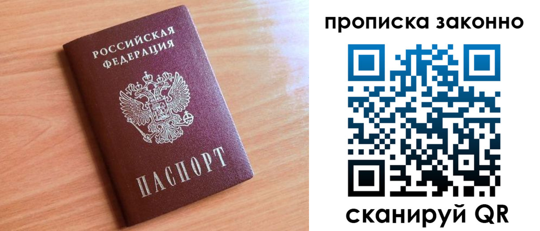 пропишу в квартире в Светлогорске