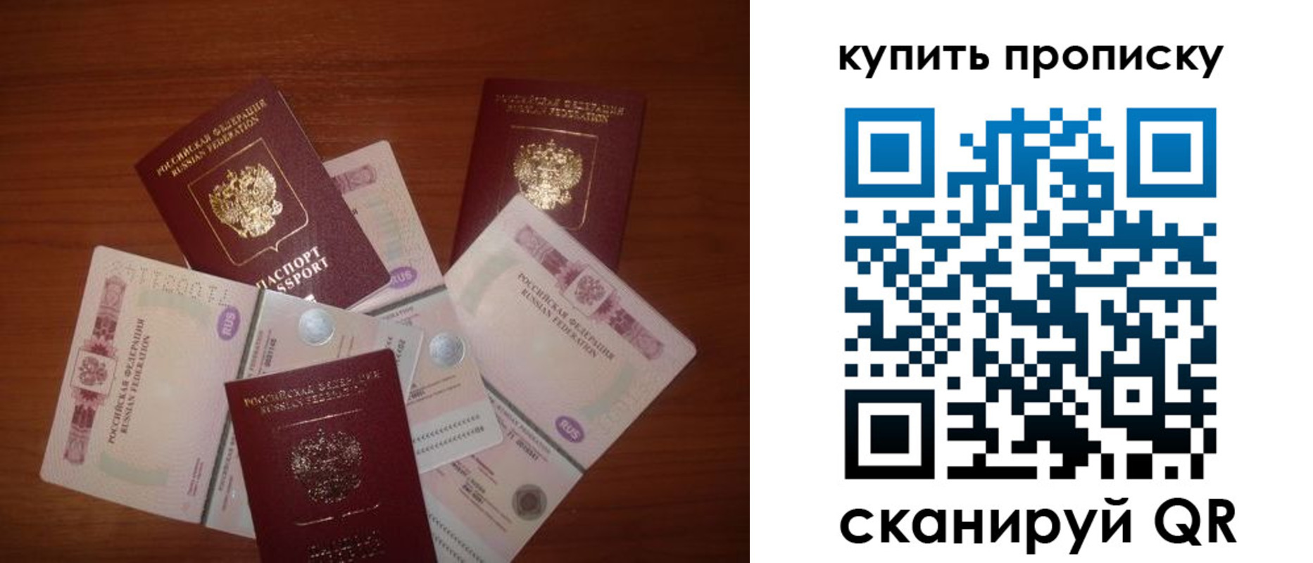 прописка регистрация в Светлогорске