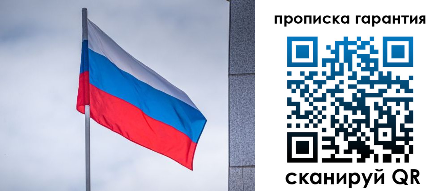временная регистрация гарантия в Светлогорске