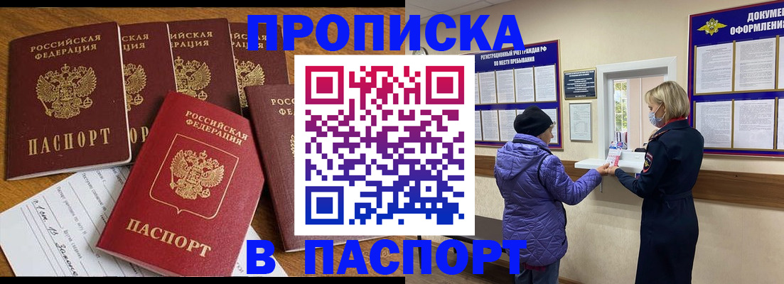 прописка 2025 в Светлогорске